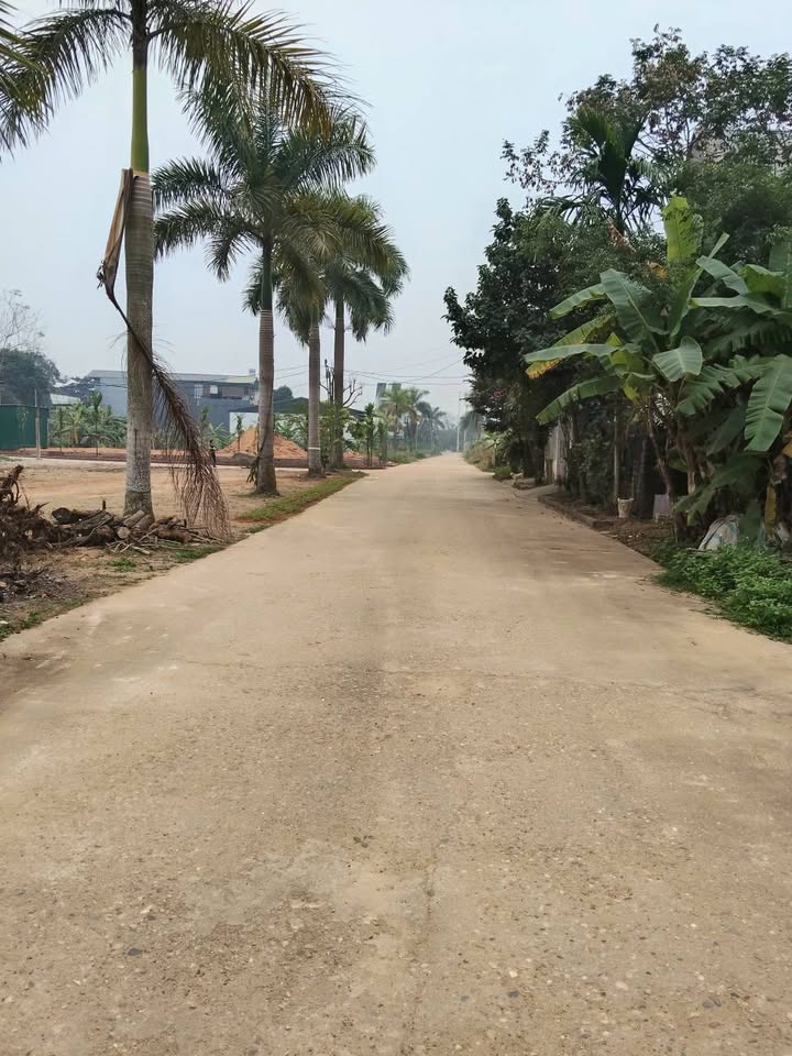 Đất nền 171m² trục chính QL32C, Lâm Thao - Sổ hồng thổ cư, giá 1 tỷ