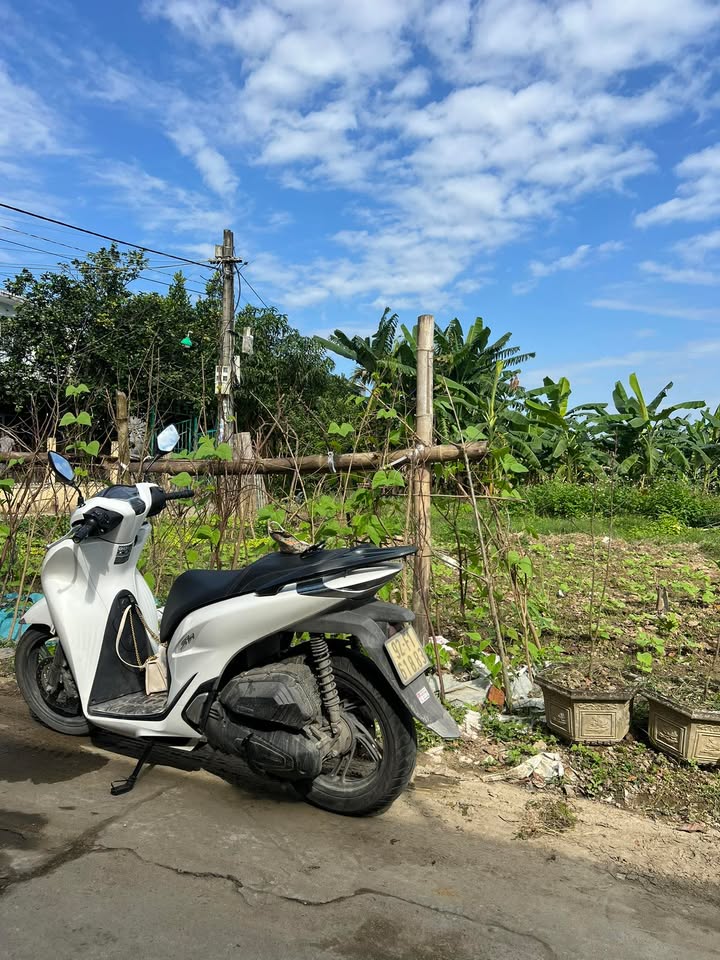 Đất Duy Trinh Duy Xuyên 100m² giá 500 triệu - Sổ đỏ chính chủ!