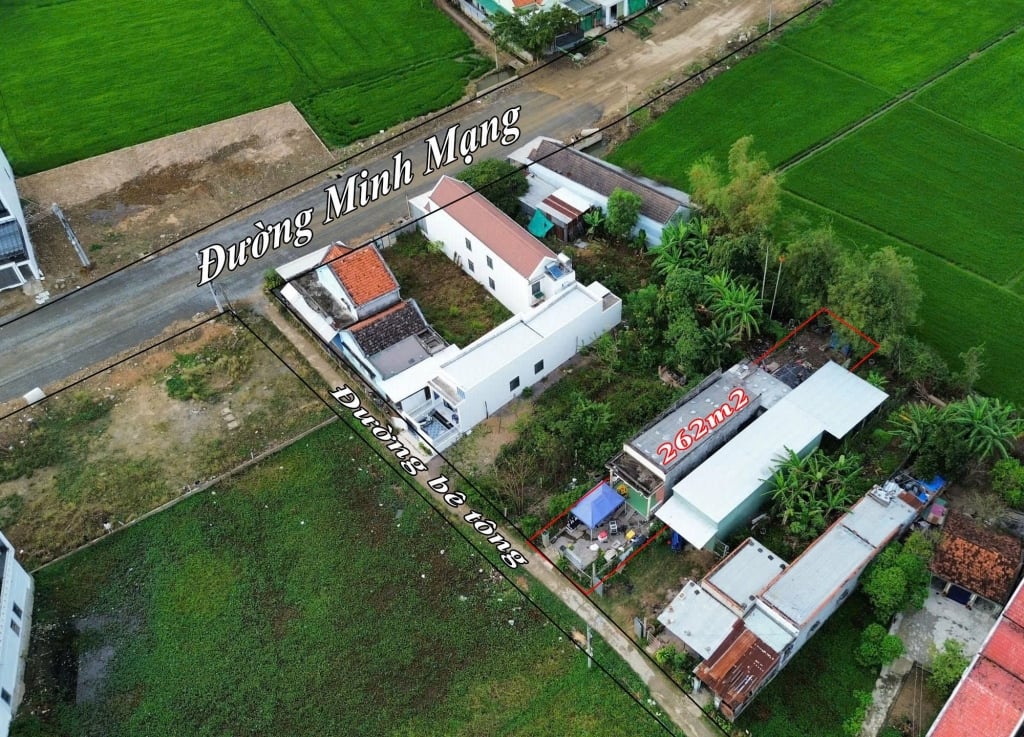 Nhà cấp 4 Ninh Hòa 262m² Giá tốt hiếm có!