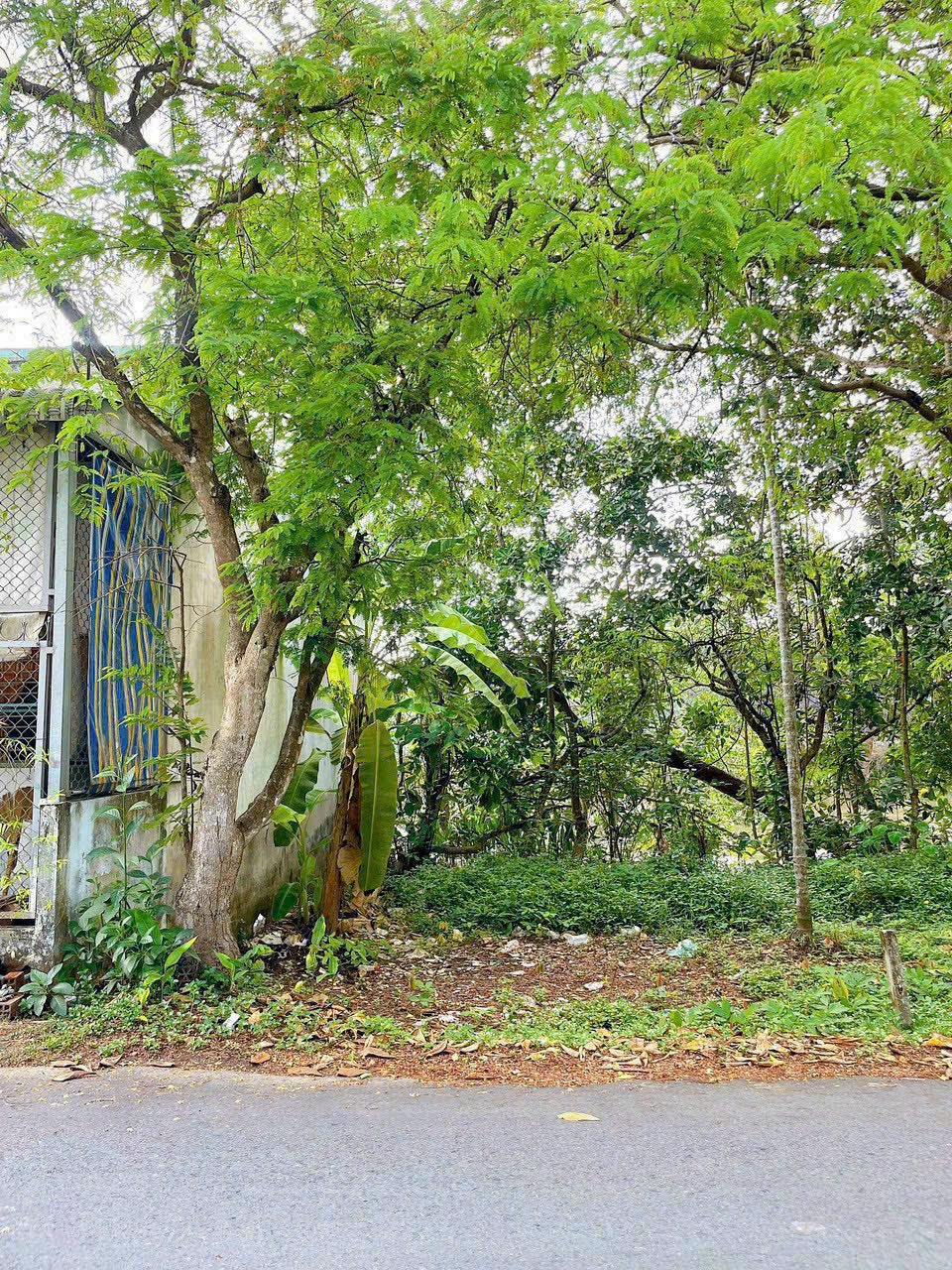 Đất nền Bình Thủy 56m² - Đường to ô tô, kinh doanh ngay!