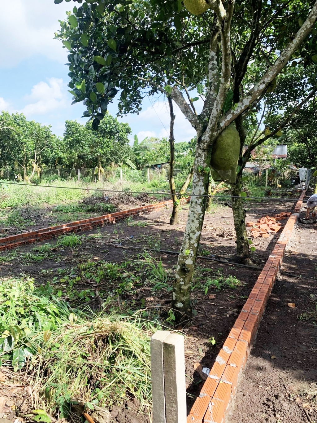 Đất nền Bảo Vinh, Long Khánh 120m² - Sổ đỏ chính chủ!