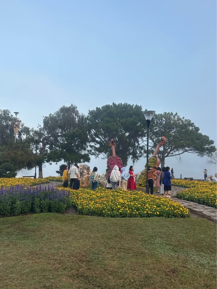 Đất nền Phường 12 Đà Lạt 208m² - Sổ đỏ chính chủ, đường ô tô!