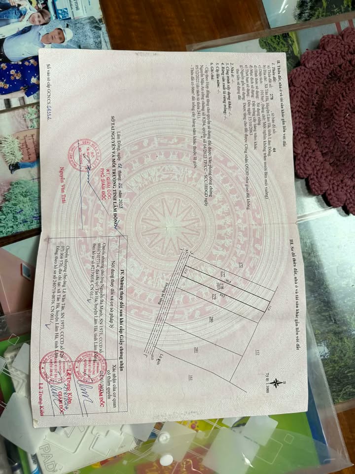 Đất nền Tân Hà Lâm Hà 1000m² giá 800 triệu - Tiềm năng tăng giá vượt trội!