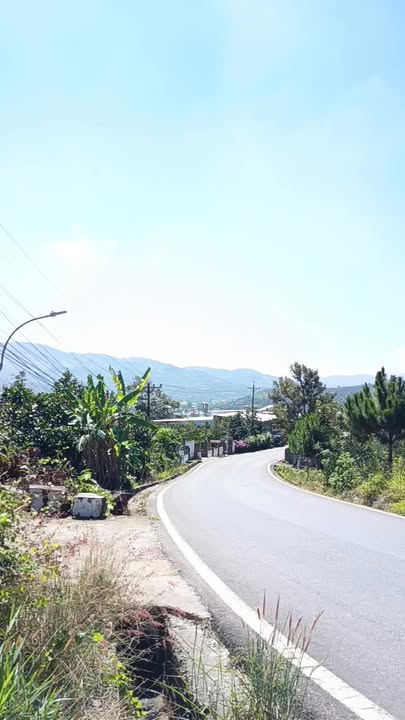 Đất Vườn 3000m² Mặt Tiền Lê Thị Riêng, Bảo Lộc - Sổ Hồng Sẵn Sàng