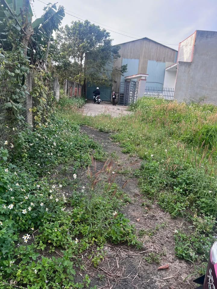 Đất nền Lộc Sơn Bảo Lộc 133m² - 1.5 tỷ - Đường to ô tô vào tận đất!