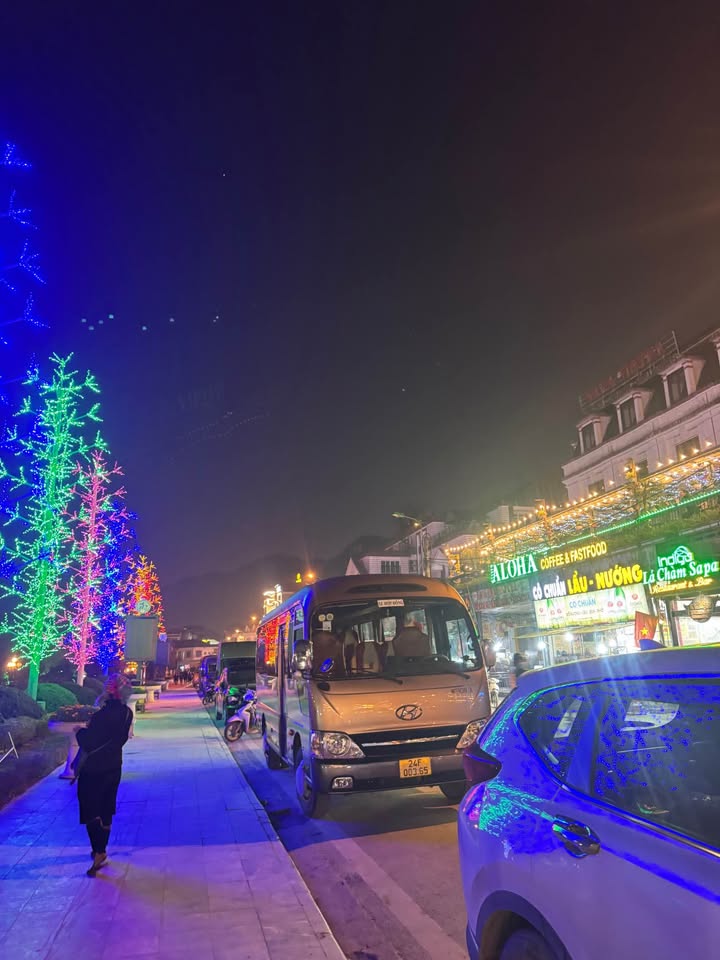 Đất nền Điện Biên Phủ Sa Pa 234m² - Tiềm năng tăng giá