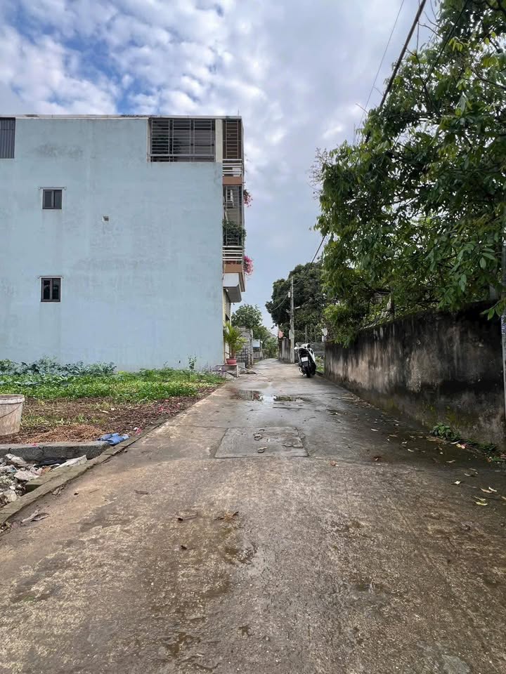 Đất nền Chương Dương Thường Tín 106m² - Tiềm năng tăng giá!