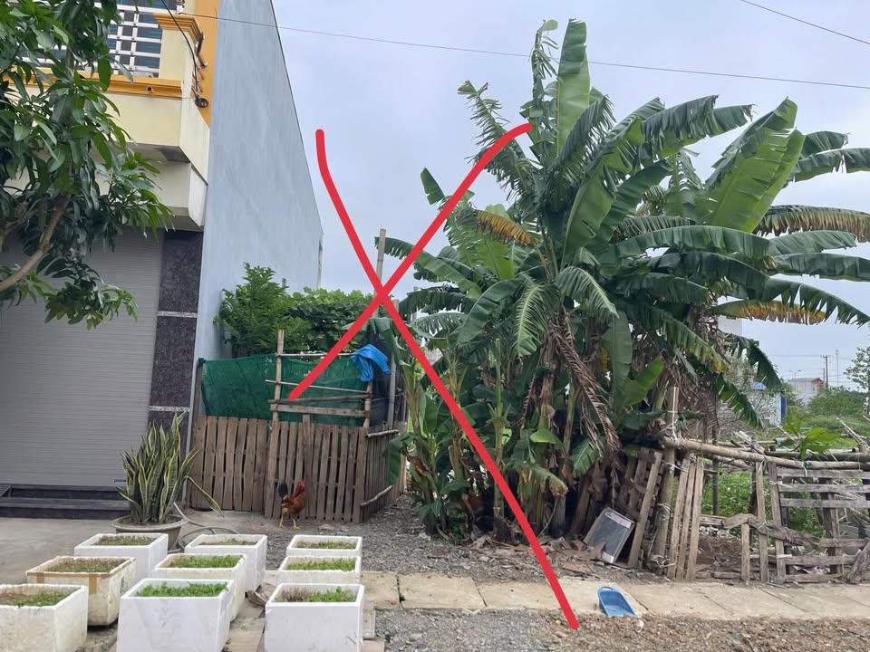 Đất nền Xã Ninh Nhất TP Hoa Lư 100m² – Sổ đỏ chính chủ, giá đầu tư tốt