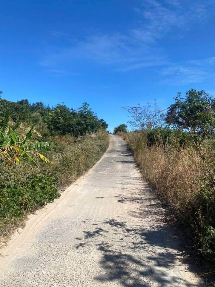 Bán 1.6ha đất cao su Đắk Tờ Re Kon Tum - View sông triệu đô cực đẹp!