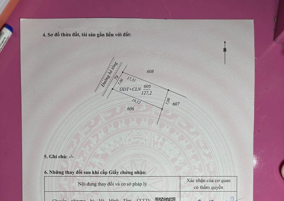 Đất nền Đức Ninh Đông, Đồng Hới 133m² - Tiềm năng tăng giá!