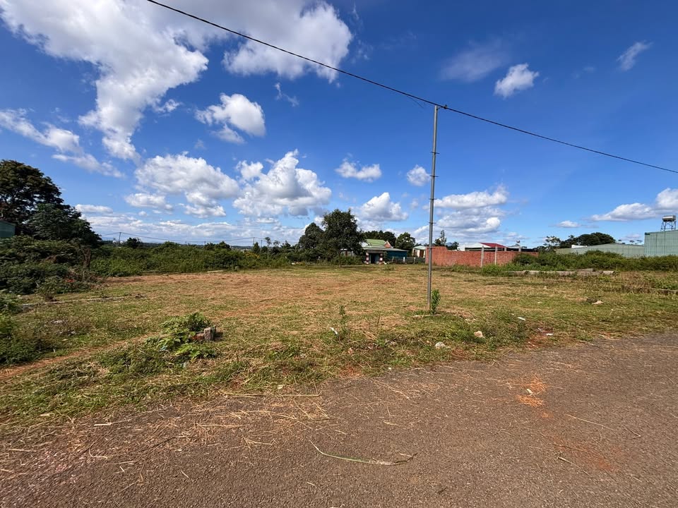 Đất nền Diên Hồng, Pleiku 115m² - Sổ đỏ chính chủ, gần trung tâm!