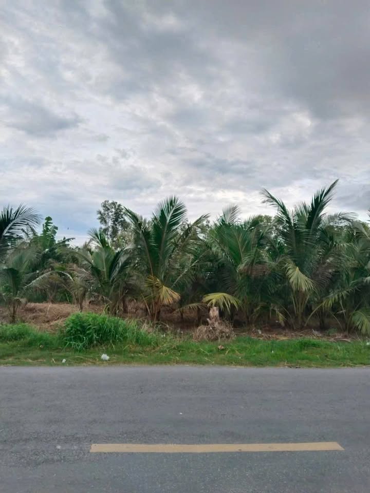 Đất nền mặt tiền QL 57B, Vĩnh Long - 1916m² kinh doanh, đầu tư