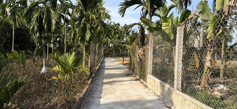 Đất nền Hẻm Hoàng Văn Thụ 130m² Xã Nghĩa Điền - Tiềm năng tăng giá!