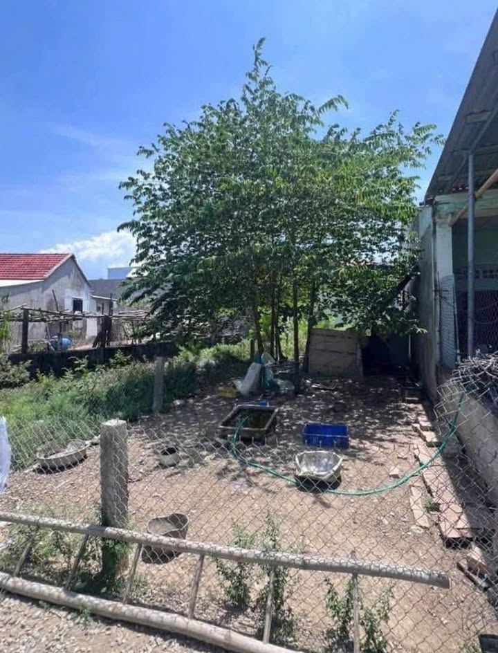 Đất nền Hẻm Trần Khánh Dư Quảng Ngãi 131m² chỉ 7xx triệu - Đường to ô tô