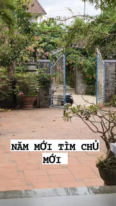 Nhà Vườn Cẩm Thanh 445m² - Kinh doanh Lưu trú, Giá 9.99 Tỷ