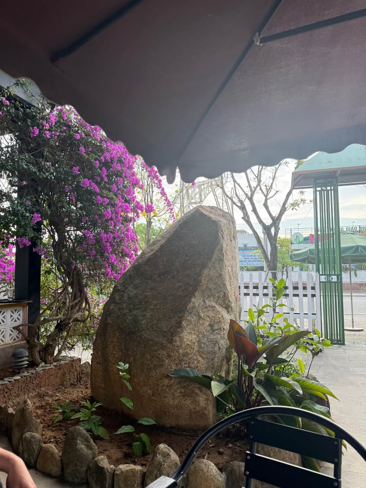 Đất Mặt Tiền Lê Thánh Tông Đà Nẵng 1600m² - Cơ Hội Kinh Doanh, Xây Xưởng