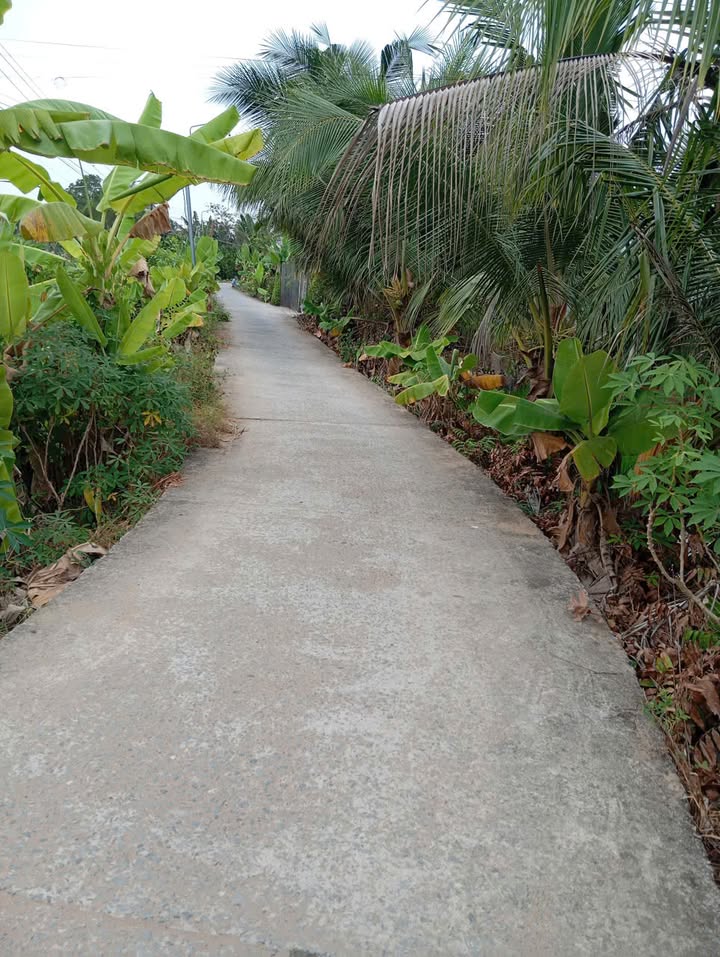 Bán Đất Vành Đai Tân An, Long An - 9000m² (3900m² thổ cư) Giá 15 Tỷ