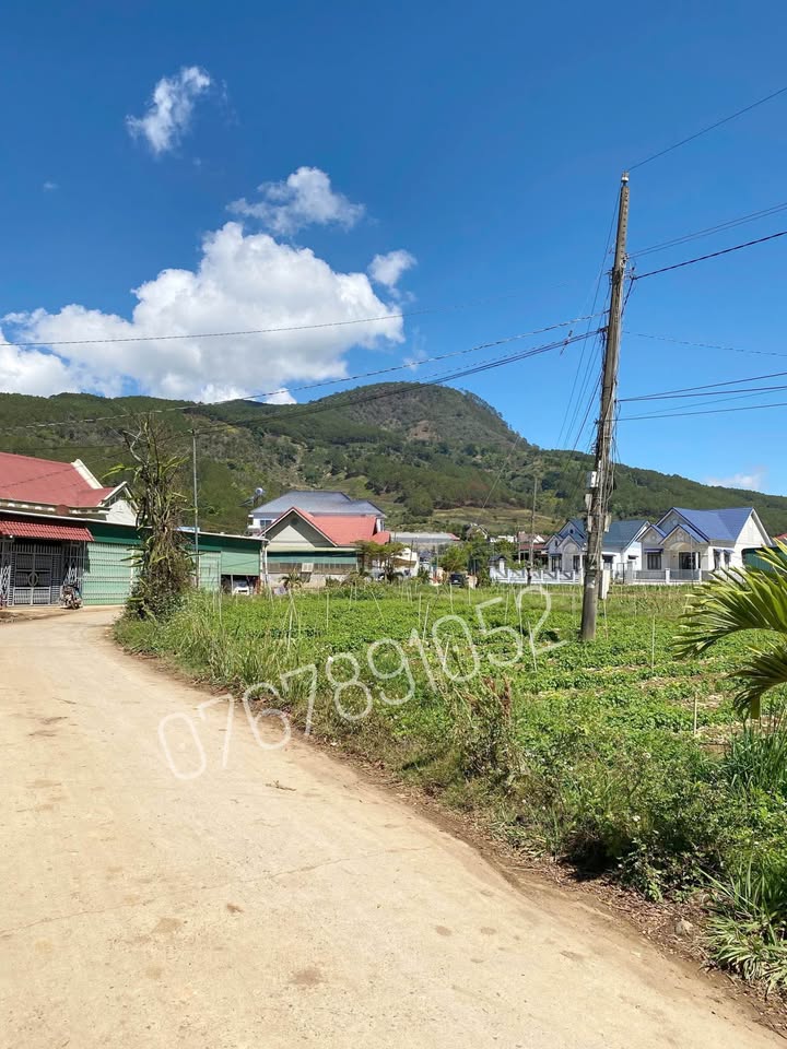 Đất nền Hiệp An Đà Lạt 125m² giá 1.1 tỷ - Tiềm năng tăng giá vượt trội!