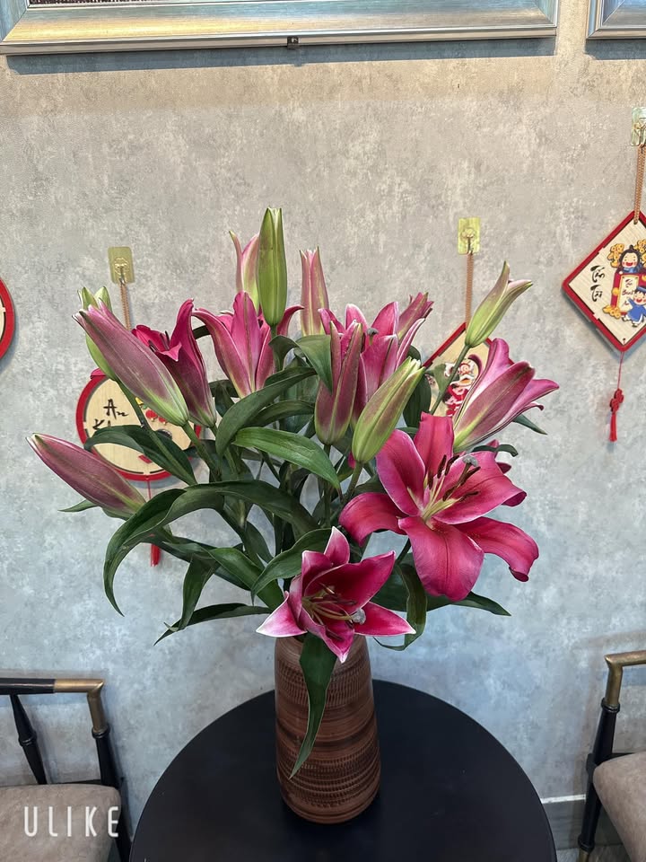 Xưởng Thành Phố Bến Cát 300m² - Giá 8 tỷ, Container thoải mái!