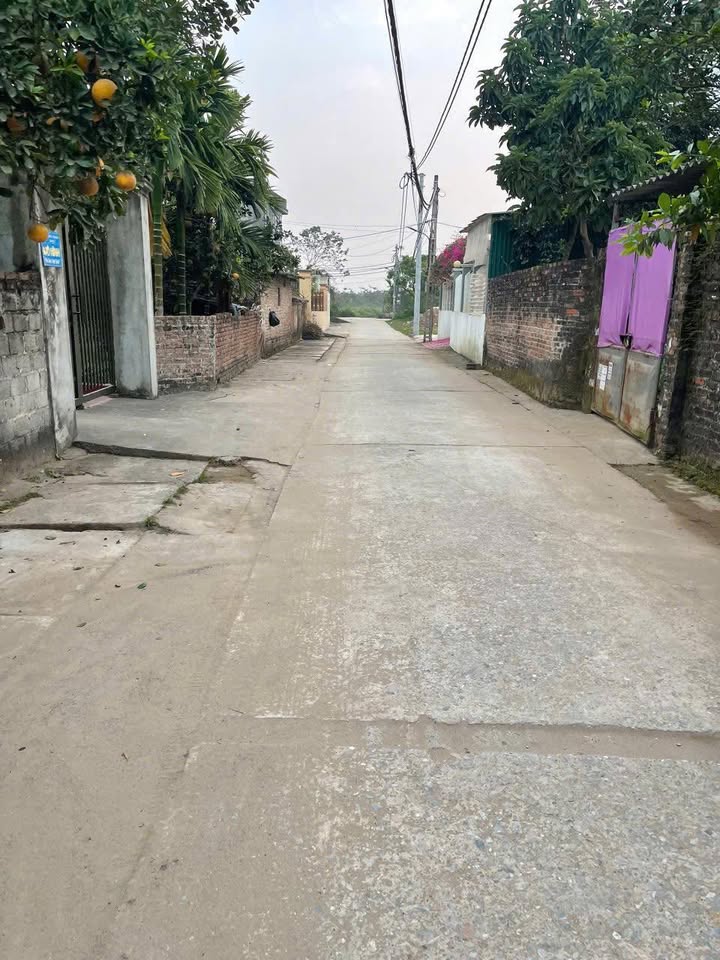 Đất nền Đông Ninh, Khoái Châu 95m² - Tiềm năng tăng giá vượt trội!