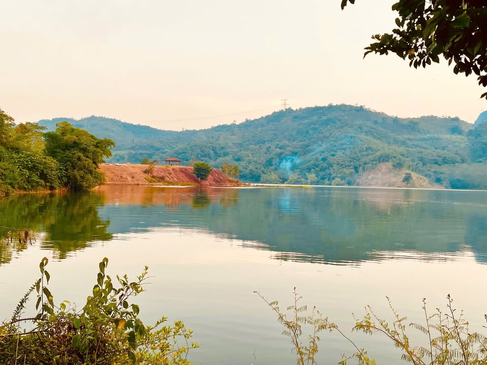 Đất vườn Hòa Bình 7000m² - Nghỉ dưỡng lý tưởng, sổ đỏ chính chủ!