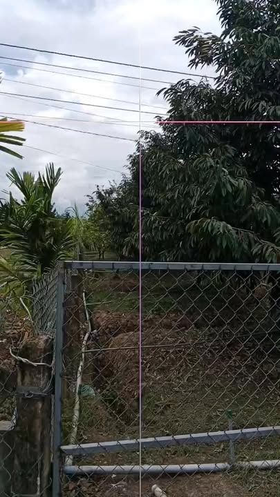 Đất Nền Xã Phú Cường, Cai Lậy 3600m² - Sổ Đỏ Chính Chủ!