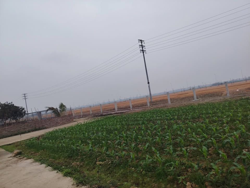 Đất nền Xã Hiệp Hòa 75ha Thái Bình - Tiềm năng tăng giá vượt trội!