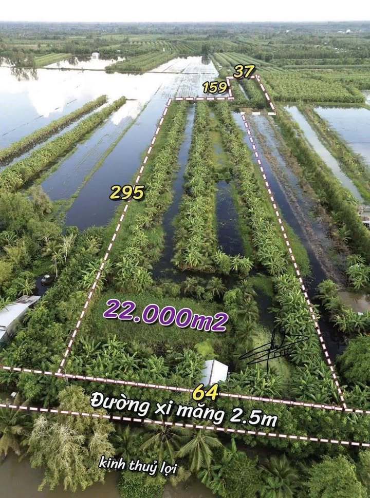 Đất Vườn Cây Dương Hậu Giang 79.200m² giá 4.4 tỷ - Tiềm năng tăng giá!