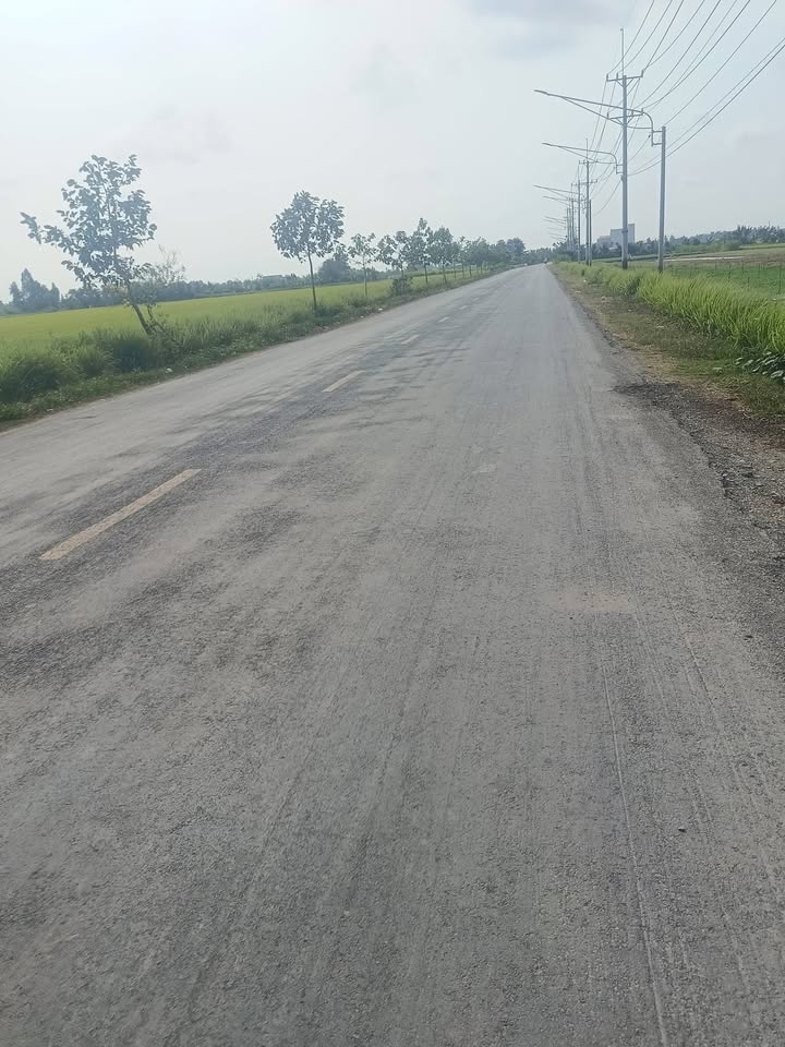 Đất vườn Gò Công Tây 1900m² giá 703 triệu - Nghỉ dưỡng lý tưởng!