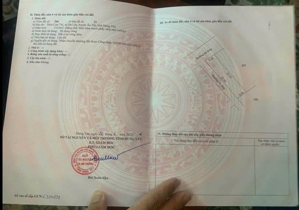 Đất nền Đa Lộc, Ân Thi 110.9m² - Giá tốt, đường to ô tô!