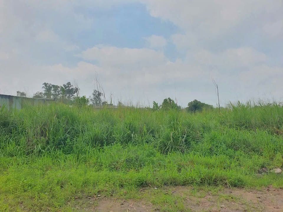 Đất nền Xã Thiện Tân, Vĩnh Cửu 658m² - Sổ đỏ chính chủ!