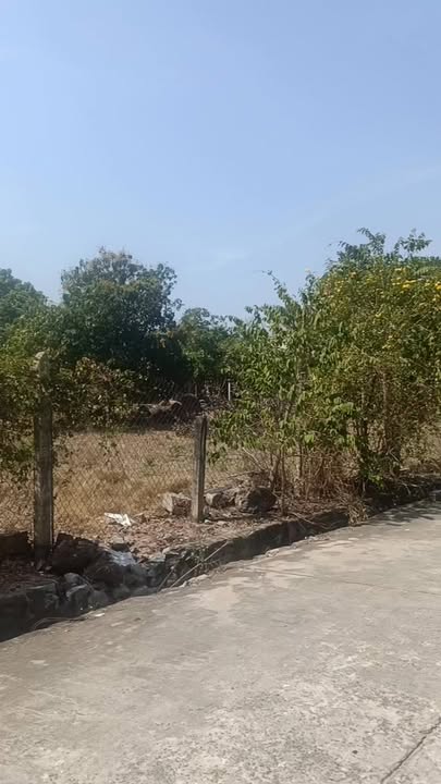 Đất nền Vĩnh Hoà, Phú Giáo 264m² - Xây dựng tự do!