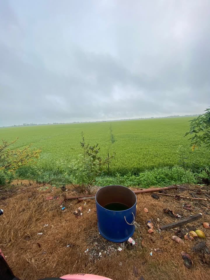 Đất nền Bình Tấn Đồng Tháp 6500m² - Tiềm năng tăng giá vượt trội!