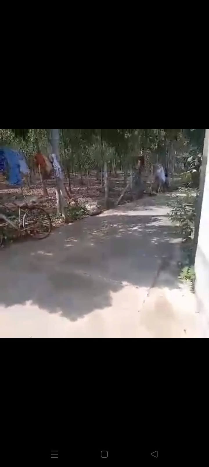 Nhà riêng DX113 Tân An 70m² giá 1.5 tỷ - Ô tô vào tận nhà!