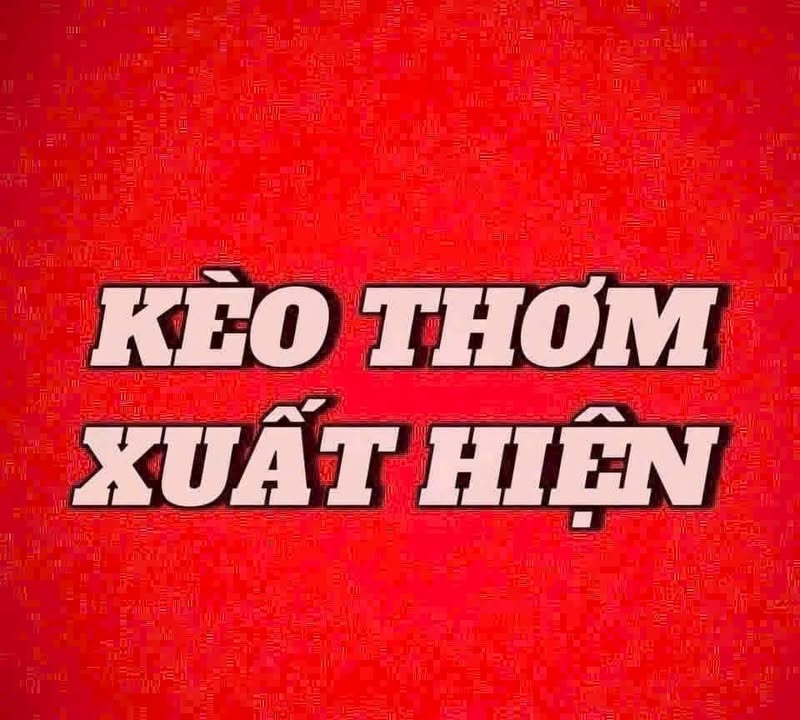 Đất nền Tỉnh lộ 681 Tuy Đức 700m² - Pháp lý rõ ràng!