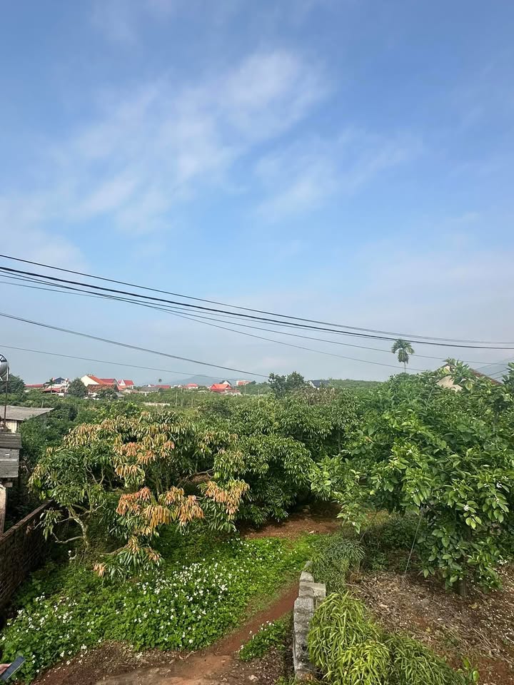 Đất vườn Nhất Thành, Chũ, Bắc Giang 2376m² - Nghỉ dưỡng lý tưởng!