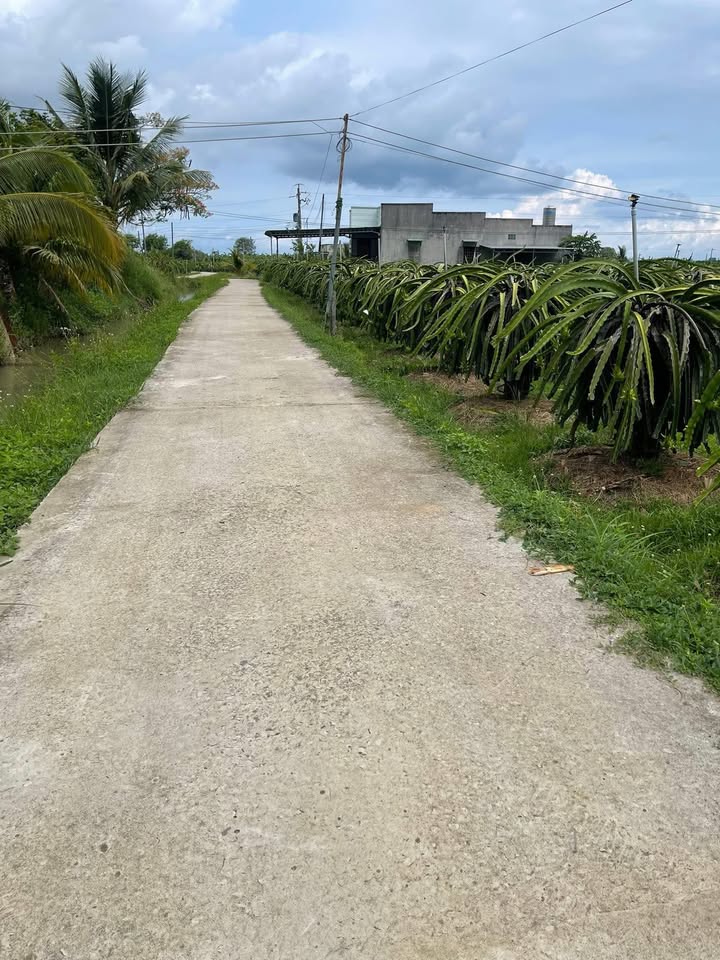 Đất vườn Phan Thiết 1700m² giá 800 triệu - Sổ đỏ chính chủ!