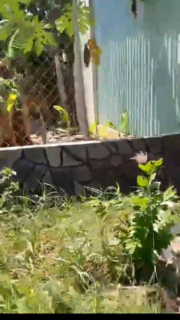 Đất Mặt Tiền TL822 Đức Hòa 225m² - Kinh Doanh Đa Ngành, Sổ Hồng