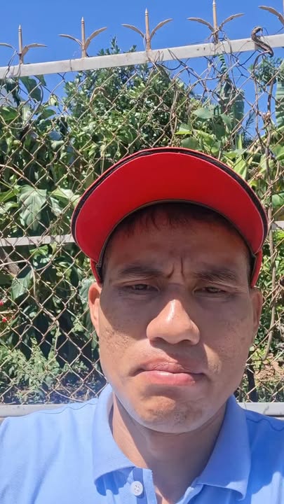 Nhà riêng Hàm Kiệm 386m² thổ cư - Sổ hồng sẵn, giá tốt!