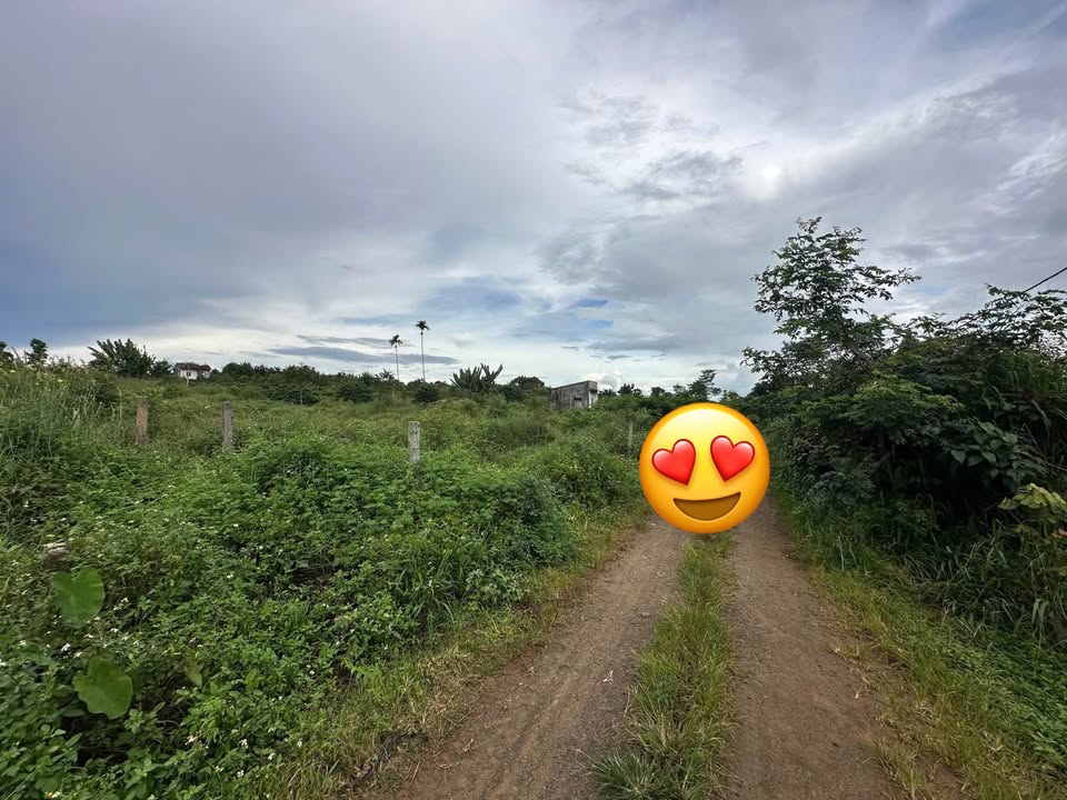 Đất nền Phường Tân Lập, Tuy Hòa 500m² - Tiềm năng tăng giá vượt trội!