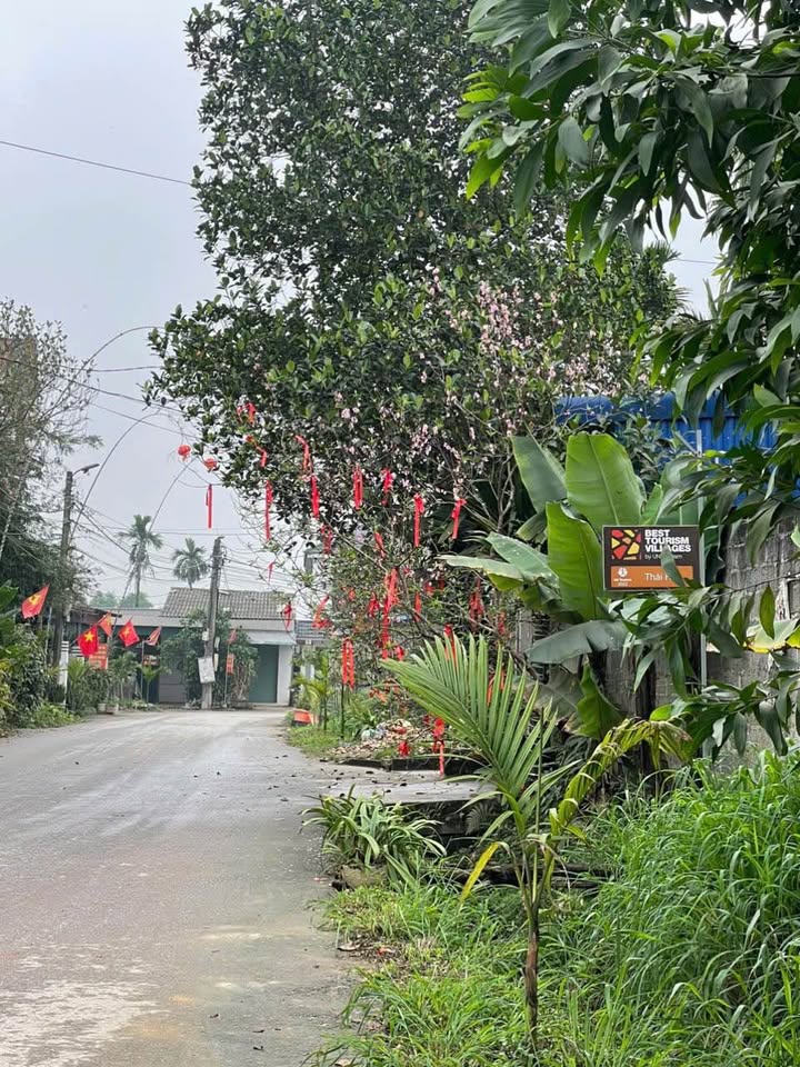 Đất nền Thịnh Đức, Thái Nguyên 280m² - Sổ đỏ thổ cư, gần KDL Thái Hải