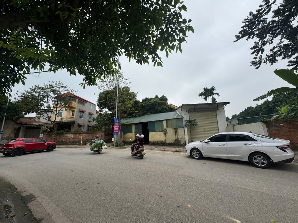 Nhà Phố Tô Hiến Thành 100m² - Mặt Tiền Kinh Doanh Vô Đối!