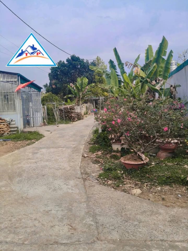 Đất nền 97m² Trần Phú, Lai Châu - Đường to ô tô, giá chỉ 300 triệu!