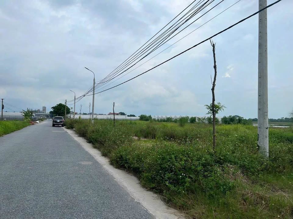 Bán Đất Nền 2 Lô Liền Kề 200m² Hướng Đông Bắc - Gia Lộc, Hải Dương