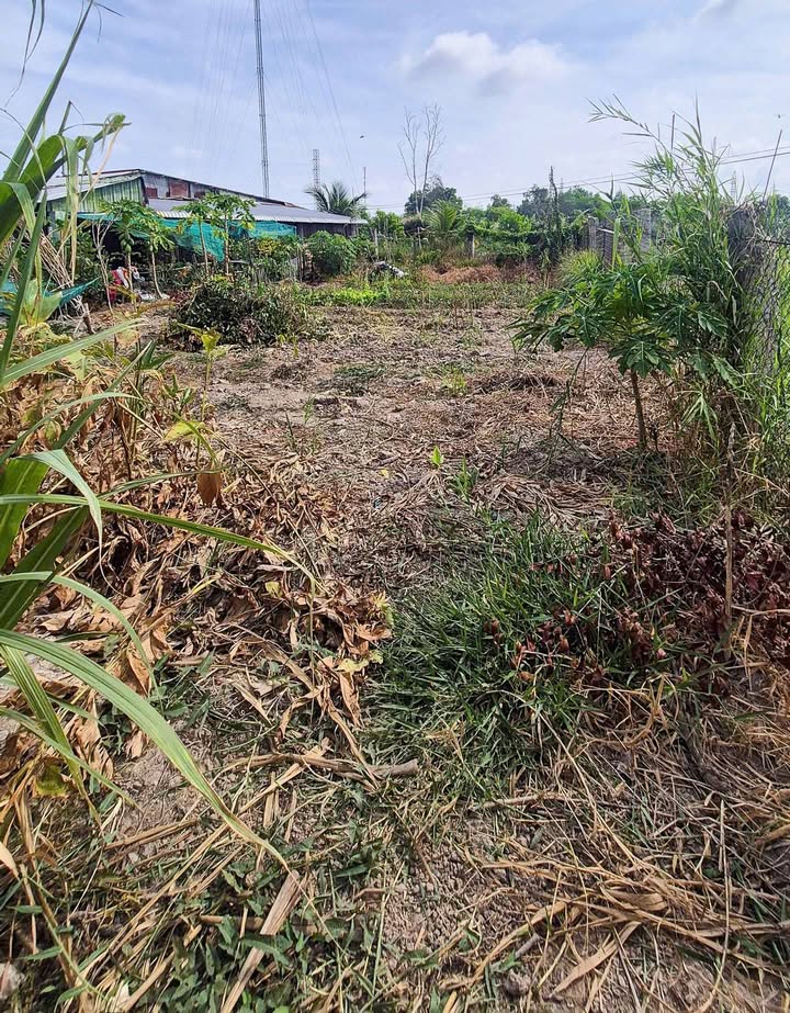 Đất nền Phường Tân Xuyên Cà Mau 692m² giá 2.2 tỷ - Vị trí đắc địa