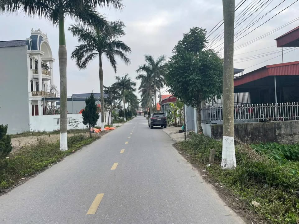 Đất nền An Đổ 180m², Bình Lục - Sổ đỏ, tiềm năng tăng giá!