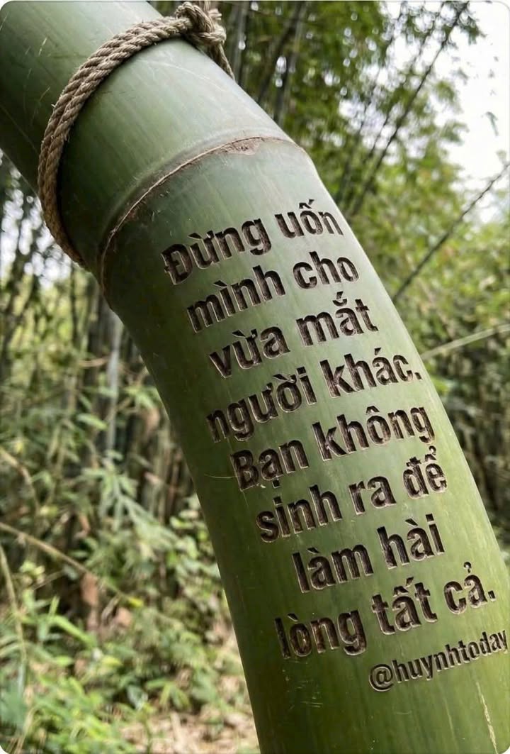 Bán Gấp Đất Vàng 1.9ha Xã Vĩnh Tân, Bình Dương - Giá Rẻ Nhất Thị Trường