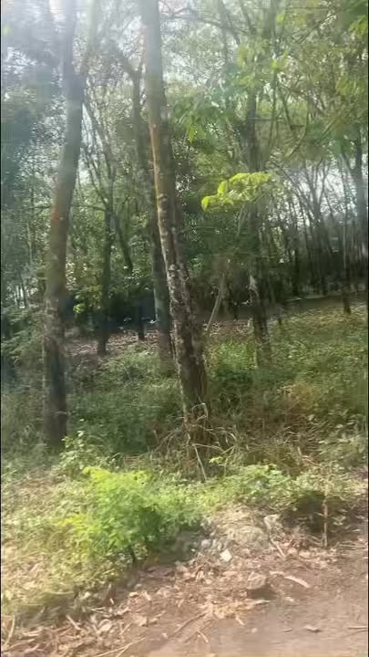 Đất nền Tân Uyên 150m² giá 1.4 tỷ - Tiềm năng tăng giá!