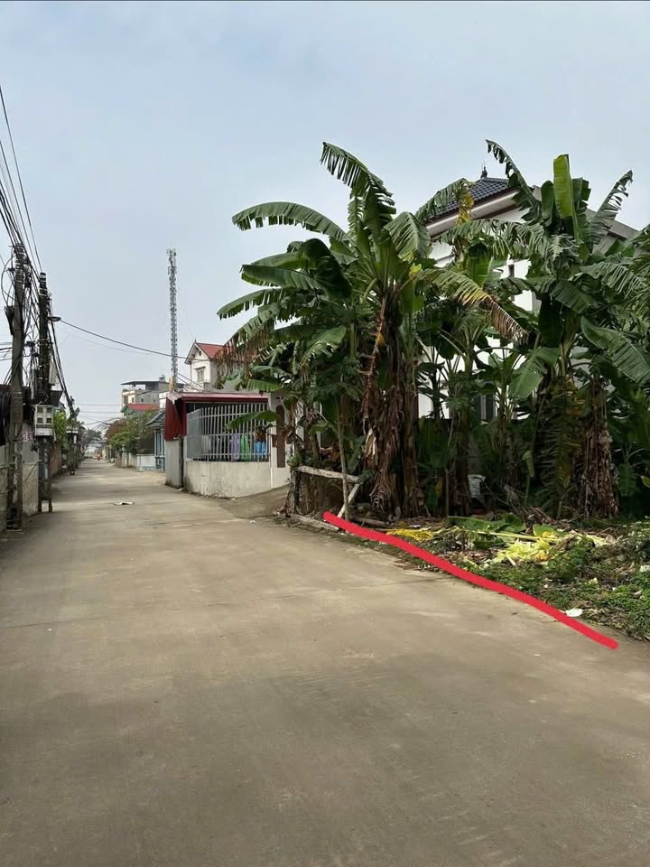 Đất nền Ngọ Xá Hiệp Hòa 2 lô 242m² - Sổ đỏ chính chủ, tiềm năng đầu tư