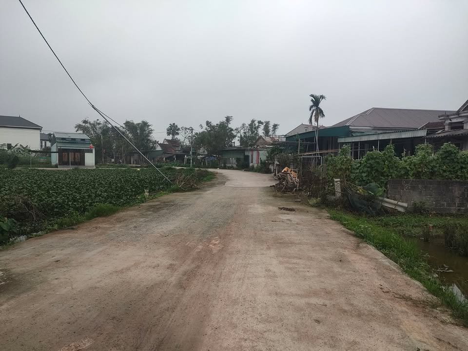 Đất nền 133m² Thạch Đài, Hà Tĩnh – Sổ đỏ chính chủ, tiềm năng tăng giá!